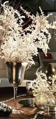 Cup Glass
rental in Milan Italy